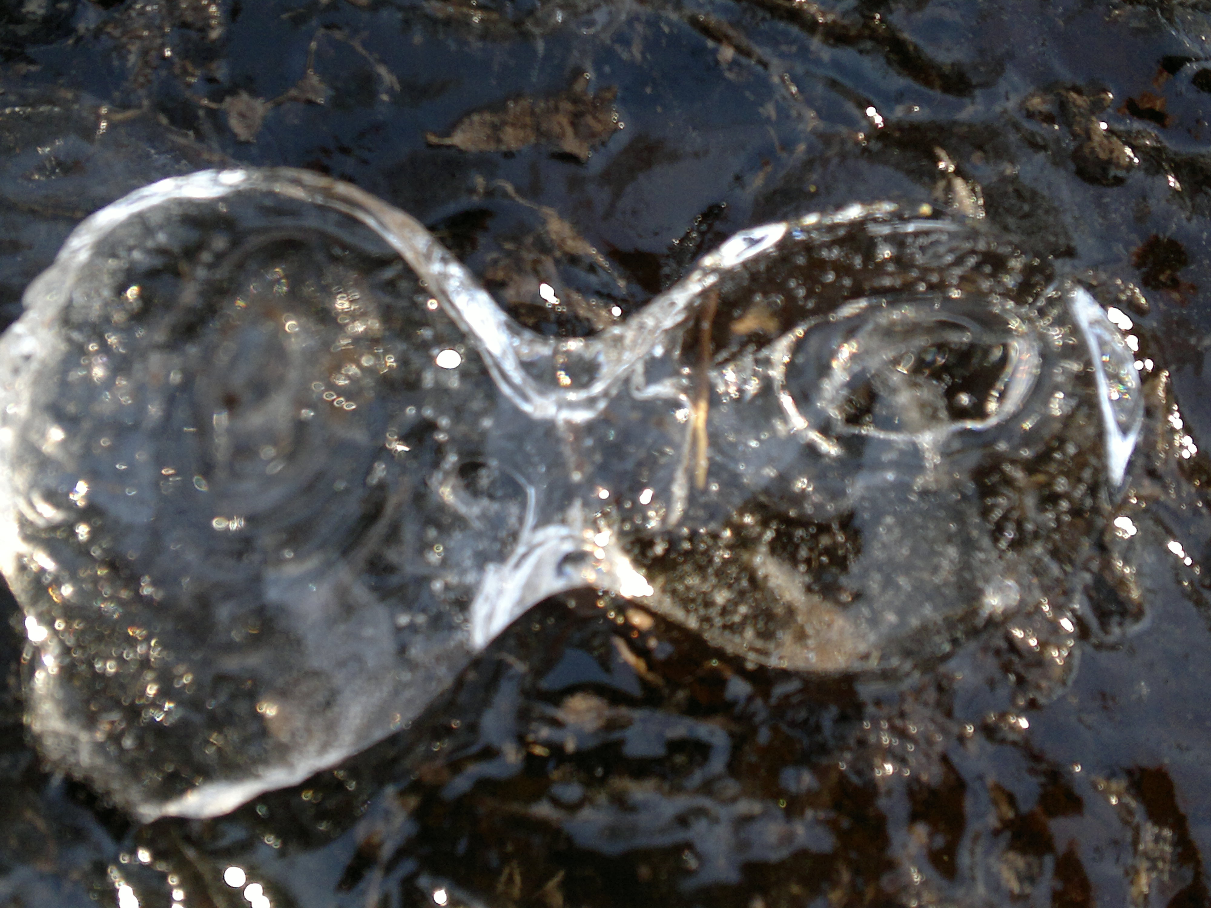 20120311211