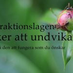 Attraktionslagen; Gör du något av följande misstag?